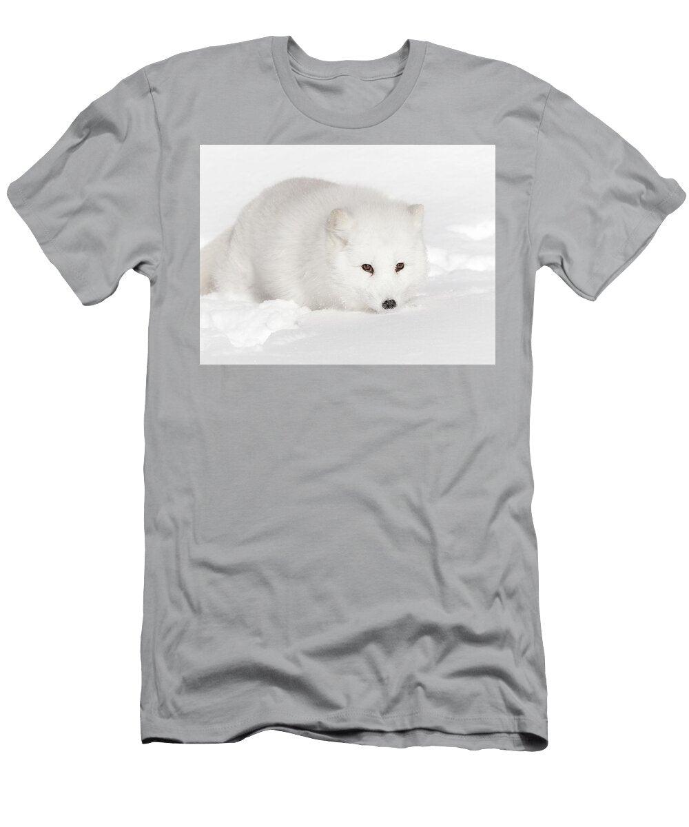 Eclipse of a White Arctic Fox Athena Mckinzie T-Shirt