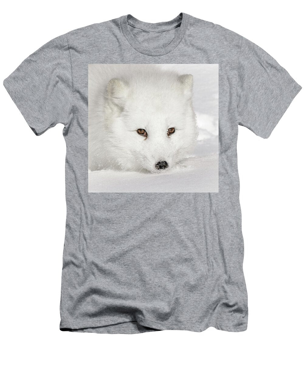 Eclipse of a White Arctic Fox Ii Athena Mckinzie T-Shirt
