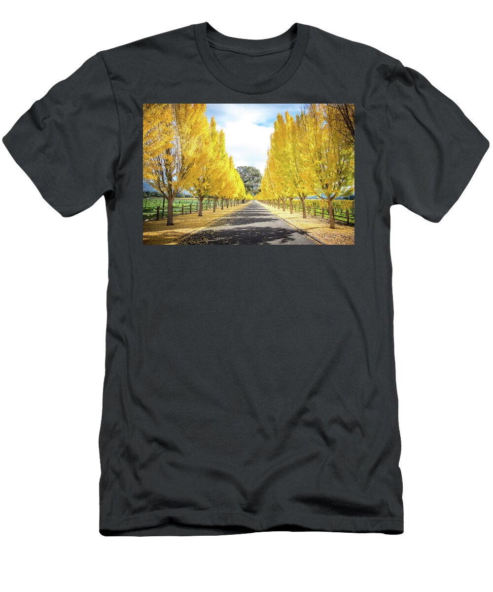 Far Niente Driveway Aileen Savage T-Shirt