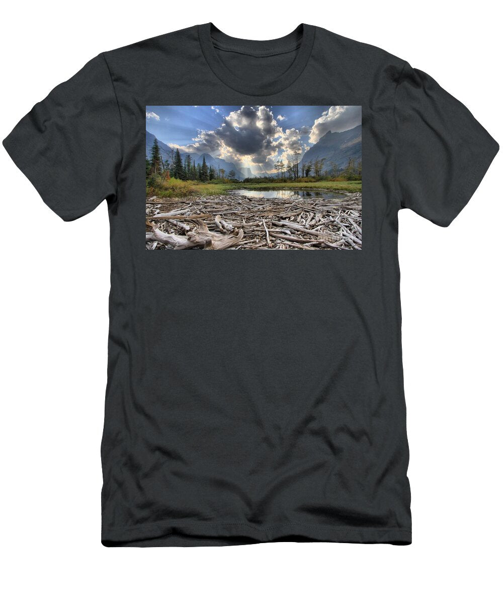 Glacier Driftwood Adam Jewell T-Shirt
