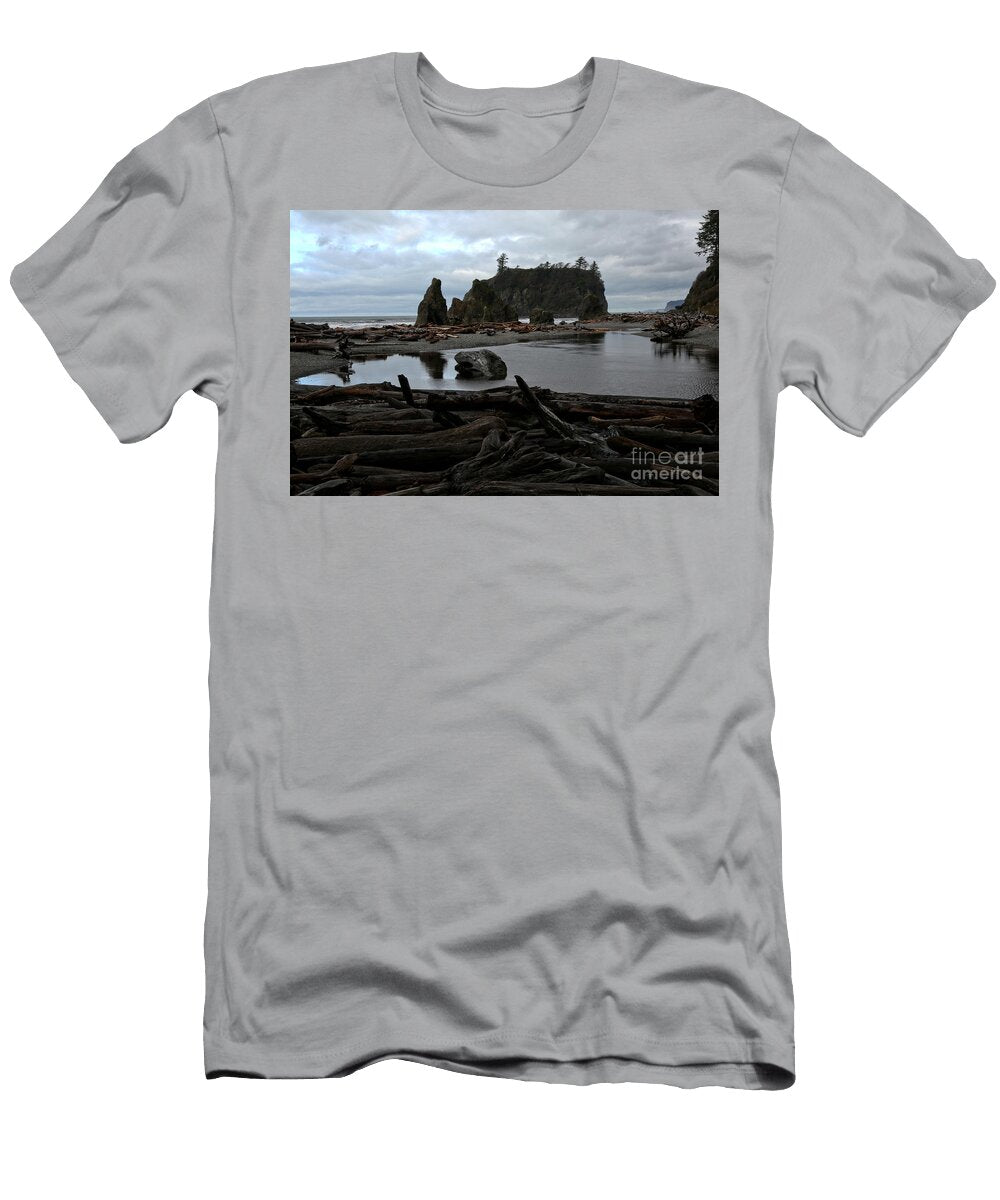 Gray Day At Ruby Adam Jewell T-Shirt