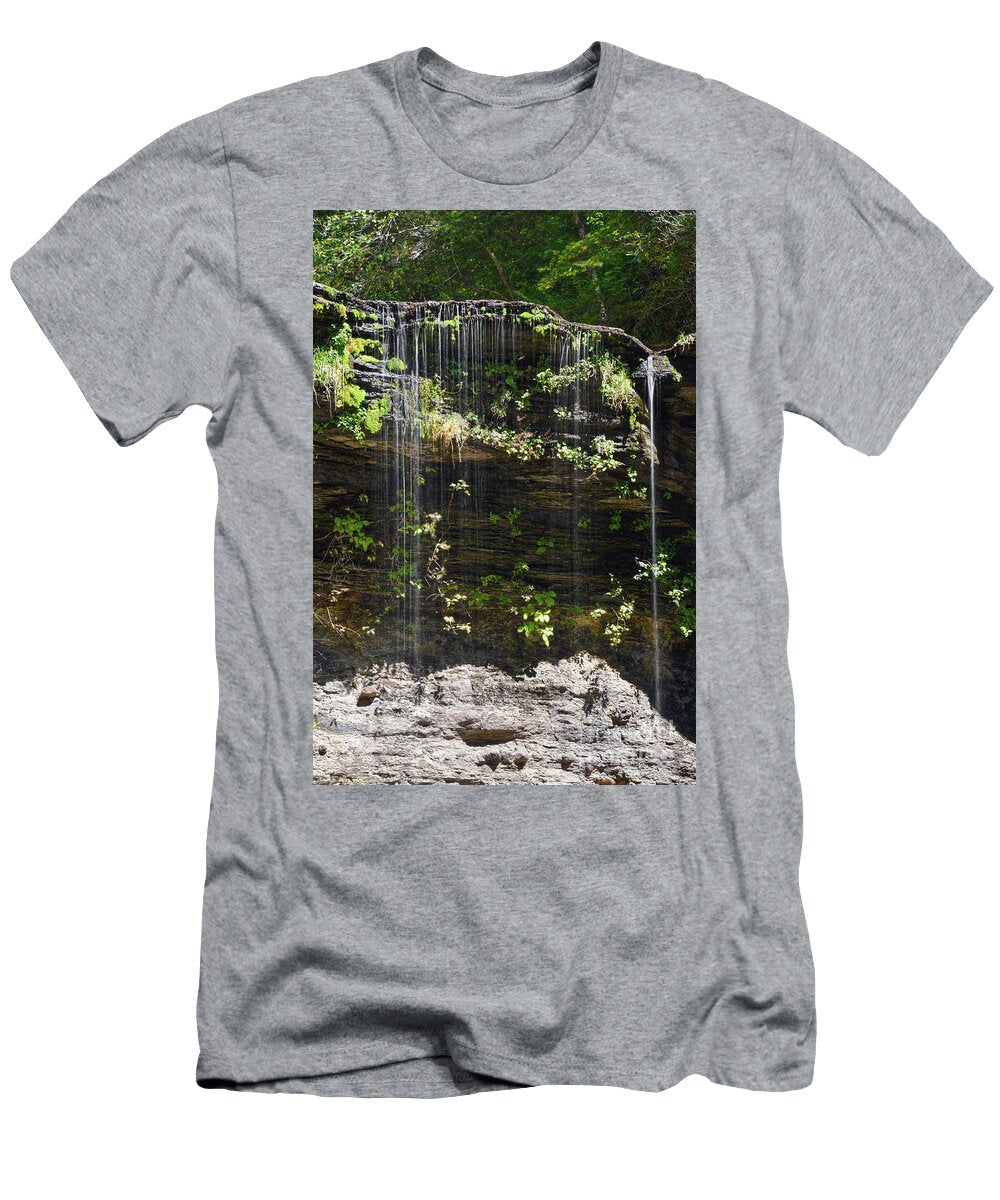 Greeter Falls 5 Phil Perkins T-Shirt