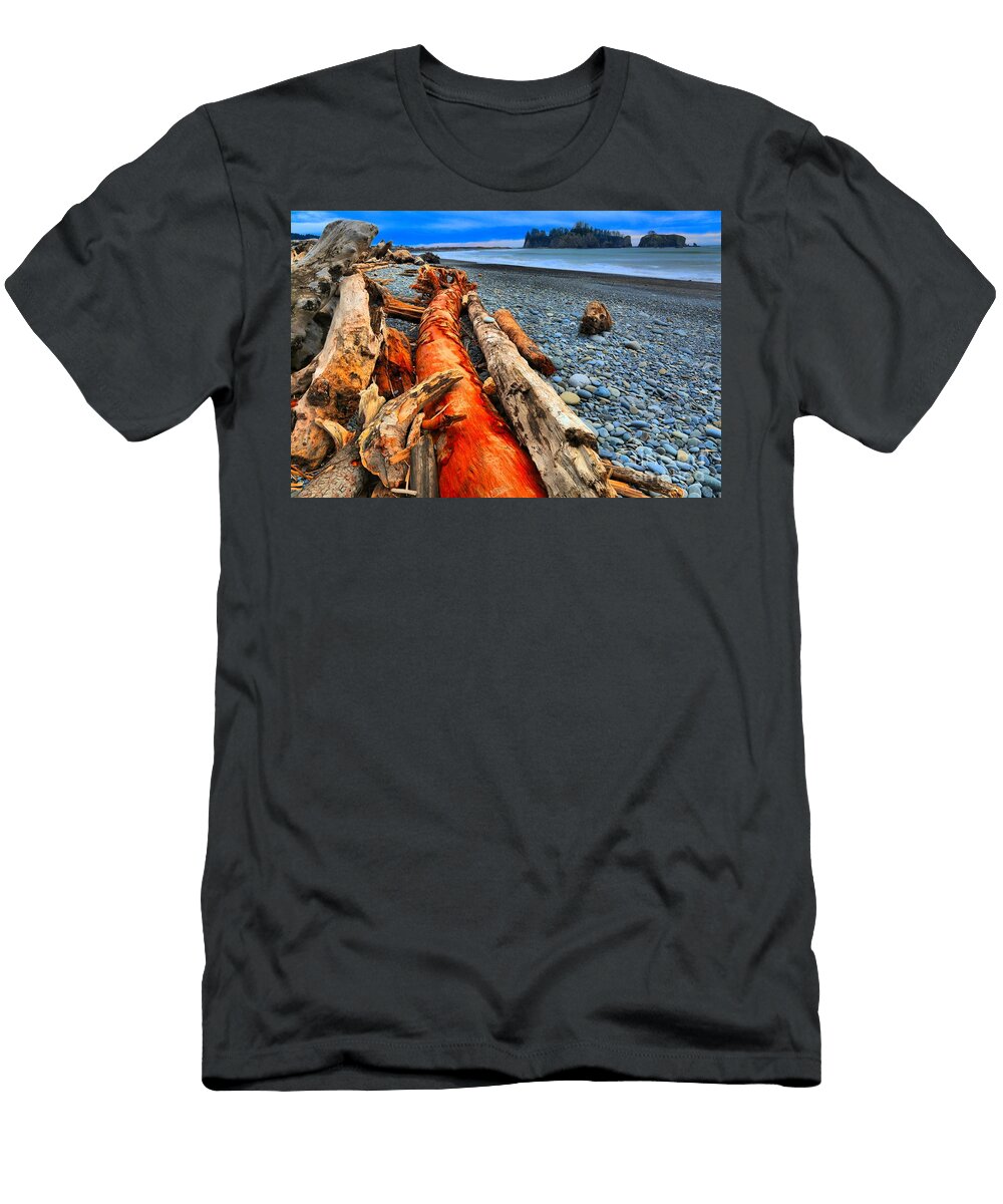 High Tide Remnants Adam Jewell T-Shirt