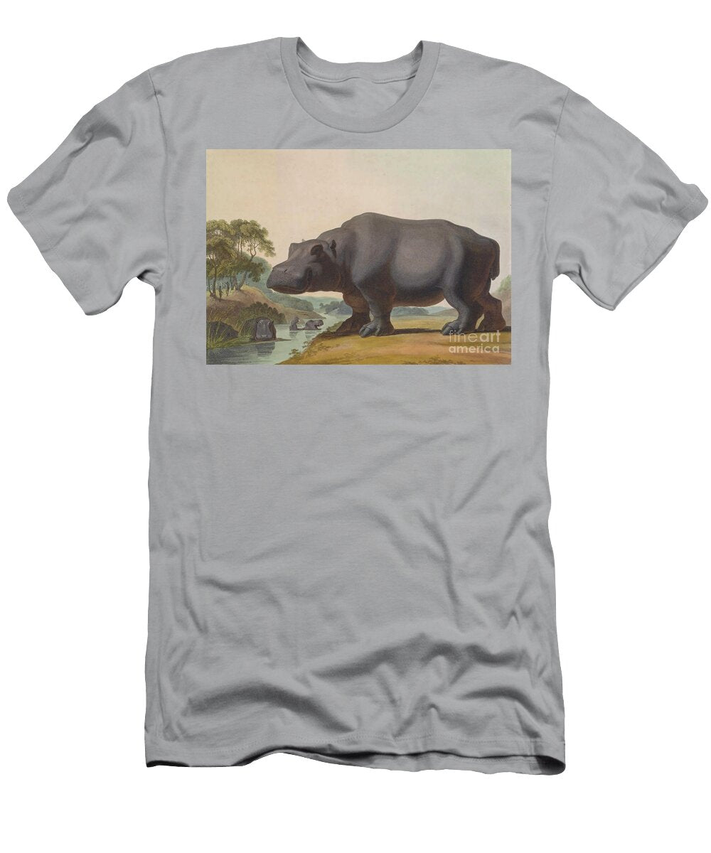 Hippopotamus Hippopotamus Amphibius O5 Historic Illustrations T-Shirt