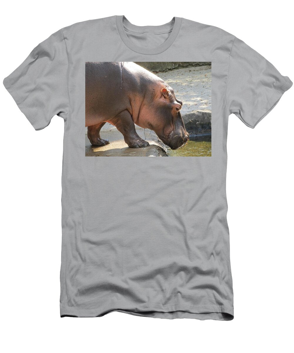 Hippopotamus Q2 Les Classics T-Shirt