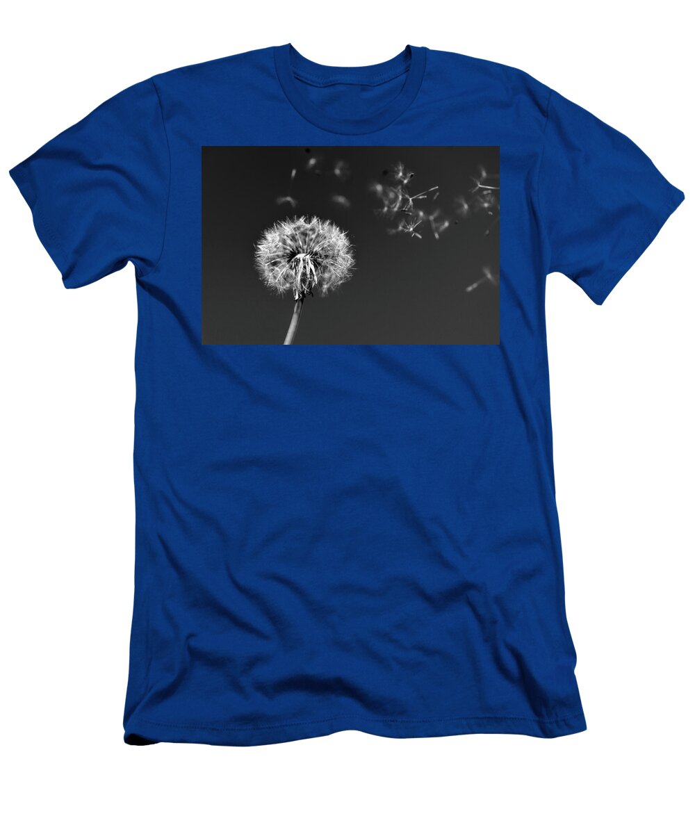 I Wish I May I Wish I Might Love You Scott Campbell T-Shirt