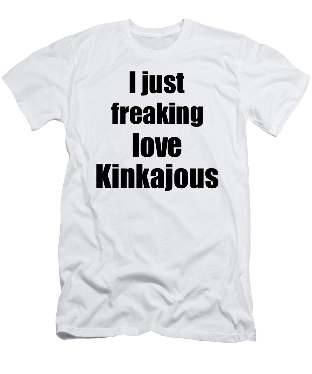 Kinkajous Lover Funny Gift Idea Animal Love Funny Gift Ideas T-Shirt