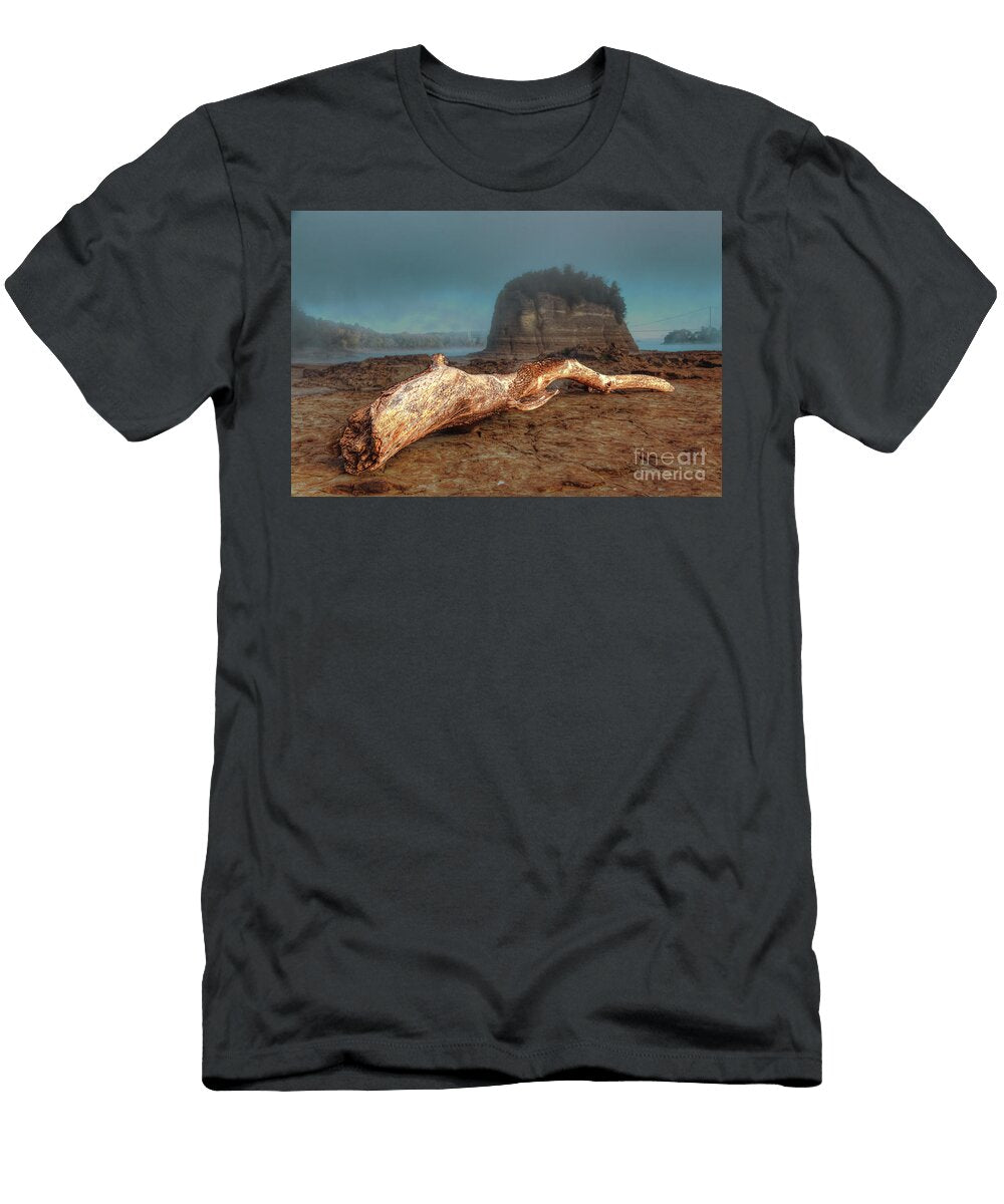 Large Driftwood By Tower Rock Larry Braun T-Shirt