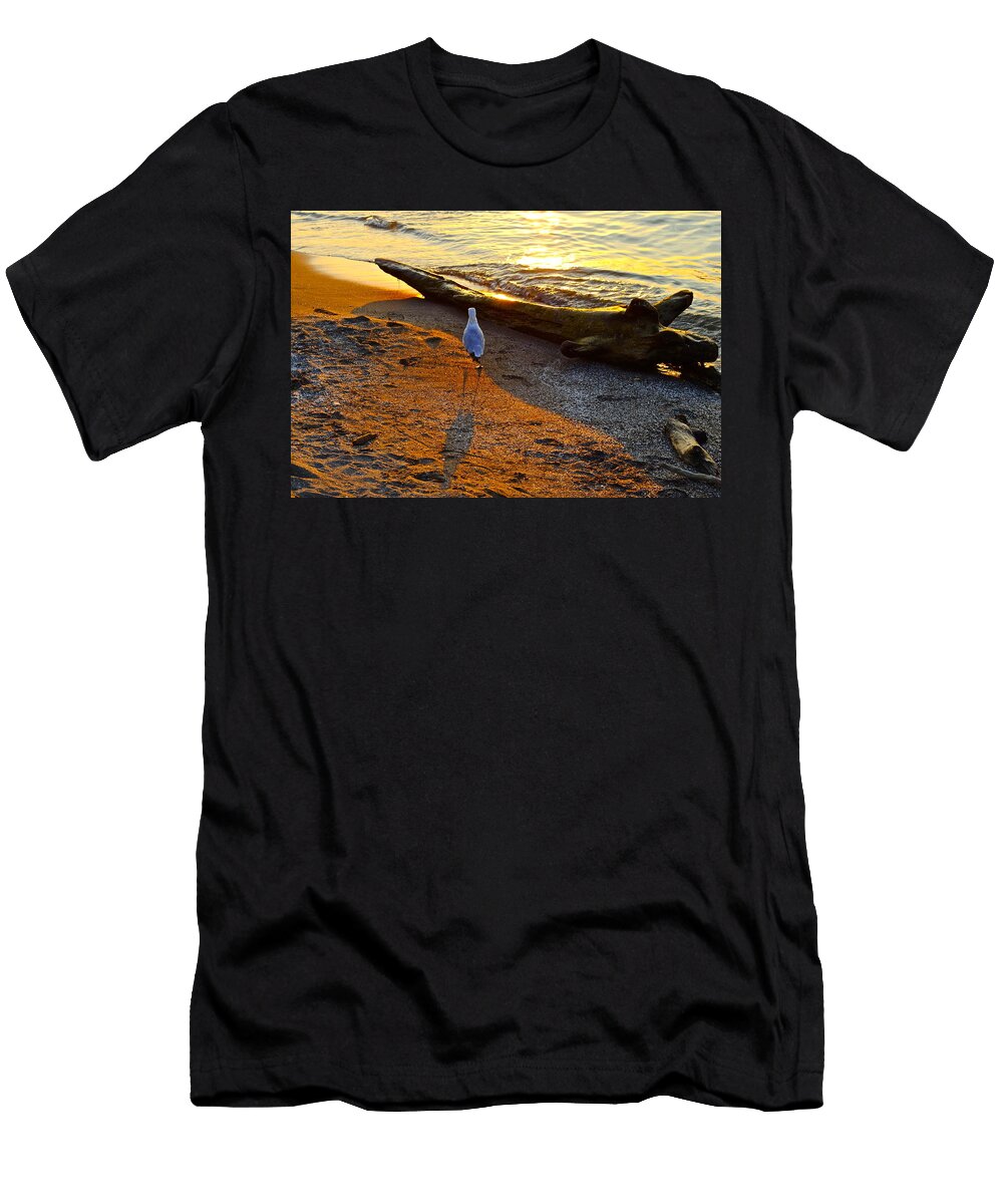 Lone Gull Robert Harmon T-Shirt