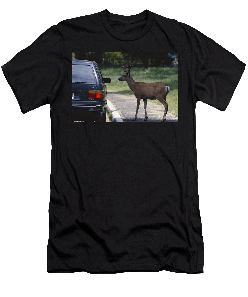 Mule Deer Begging for Food William H Mullins T-Shirt