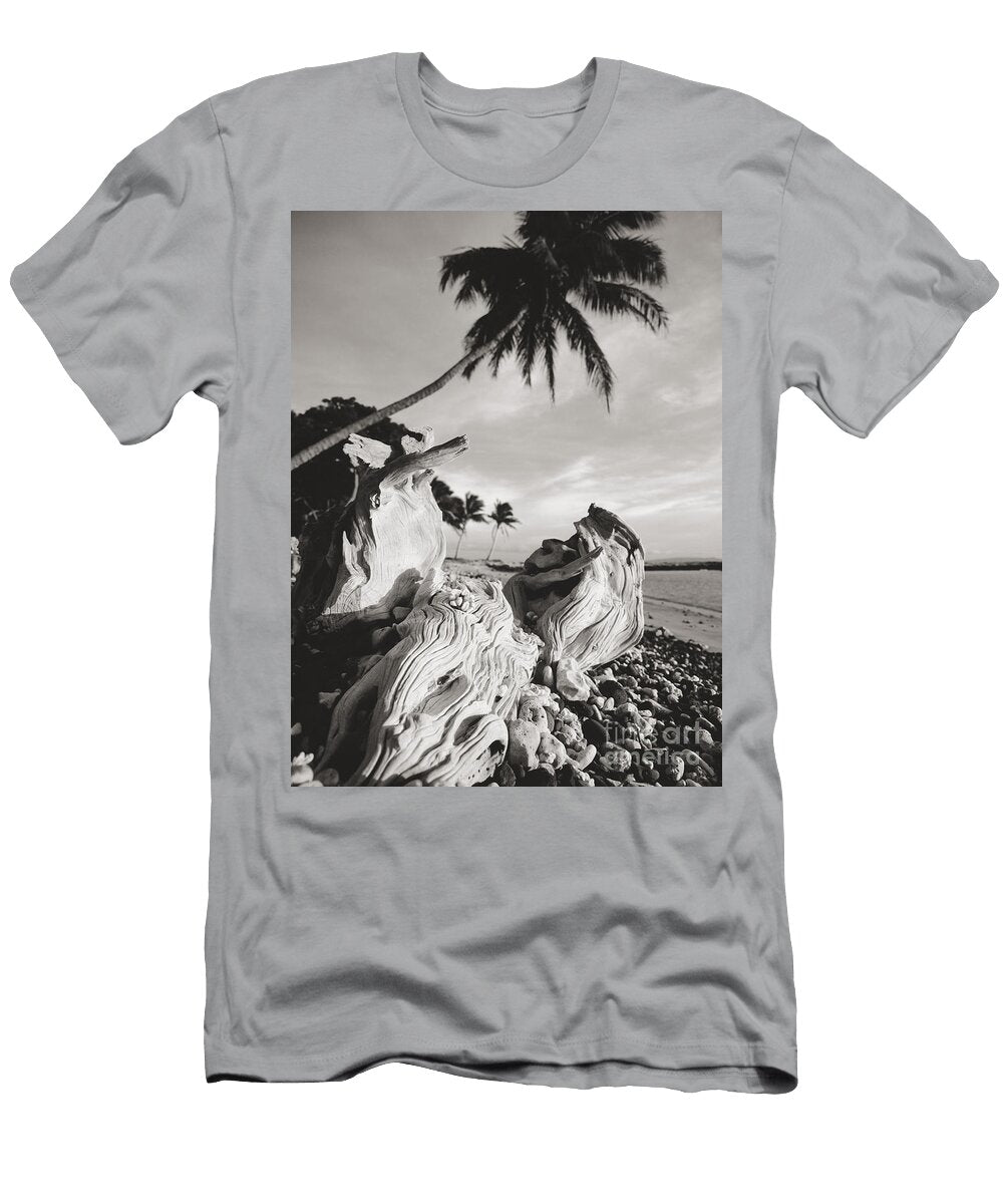 Olowalu Driftwood Ron Dahlquist T-Shirt