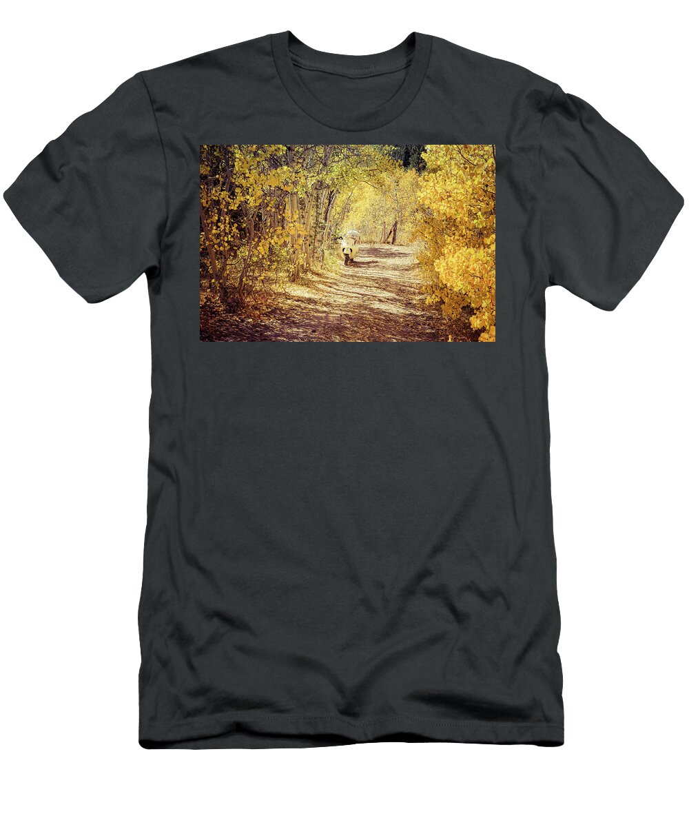 Perfect Afternoon James Bo Insogna T-Shirt