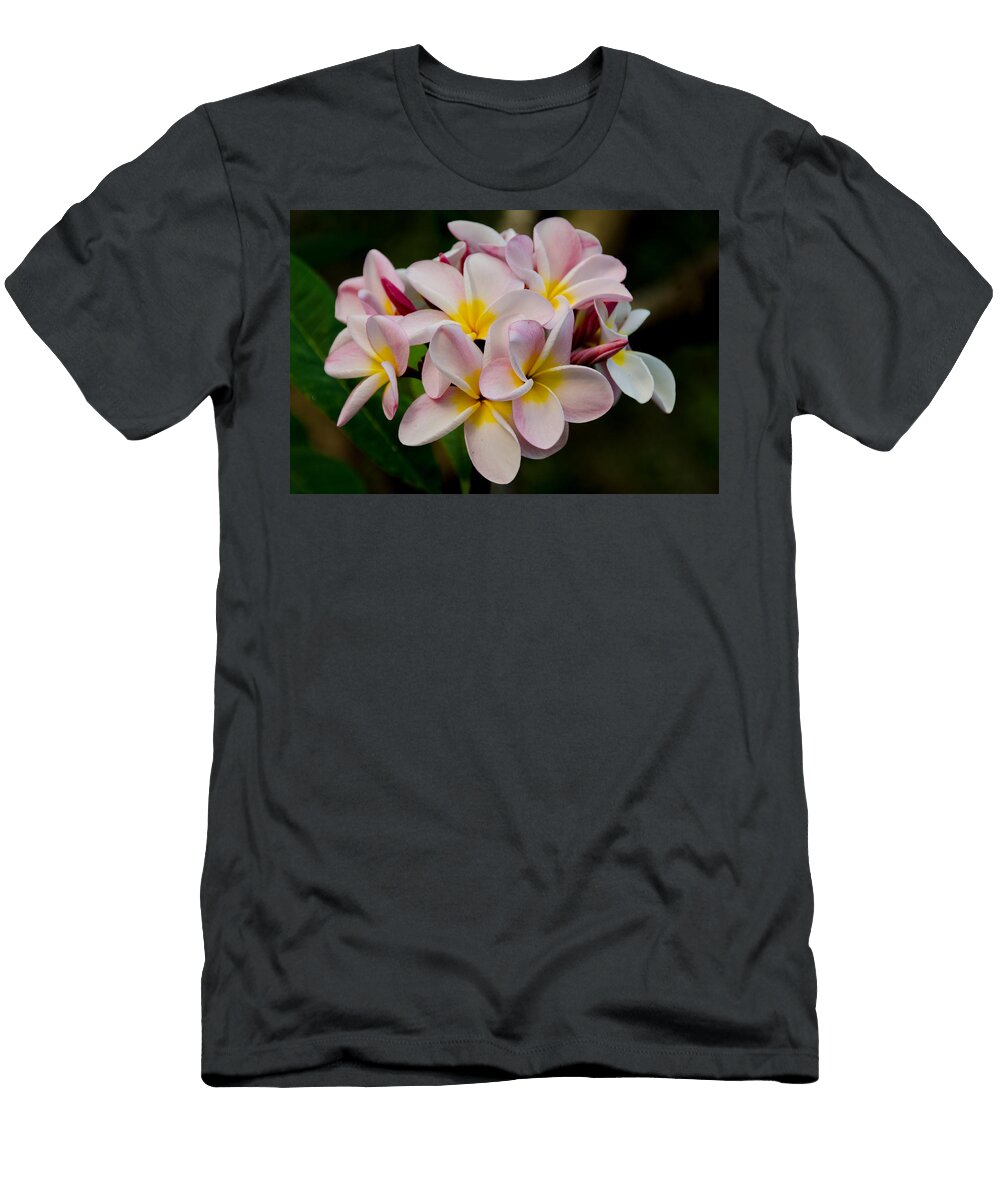 Plumeria Hysteria Nikolai Martusheff T-Shirt