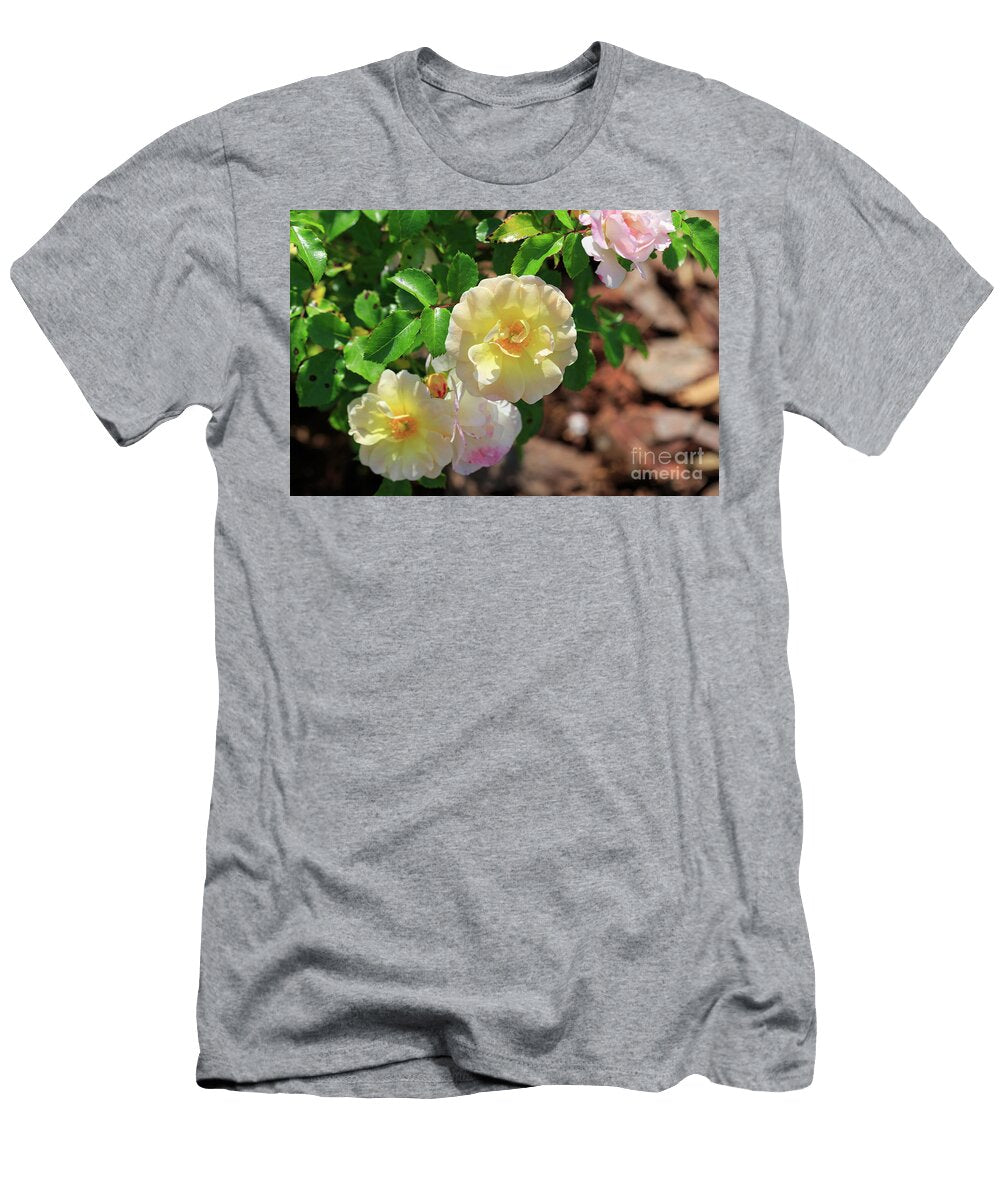 Popcorn Drift Rose Louise Heusinkveld T-Shirt