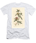 Purple Starthistle Centaurea Calcitrapa Centauree Hatchback Centauree Etoilee or Star Thistle James Sowerby T-Shirt