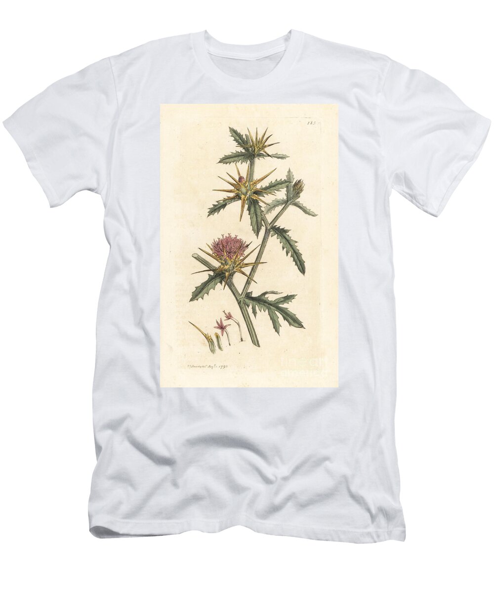 Purple Starthistle Centaurea Calcitrapa Centauree Hatchback Centauree Etoilee or Star Thistle James Sowerby T-Shirt