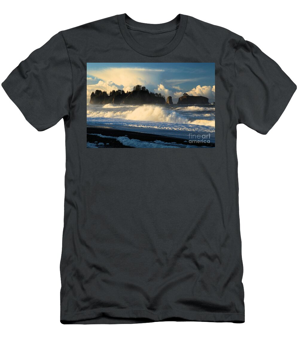 Rialto Beach Fury Adam Jewell T-Shirt