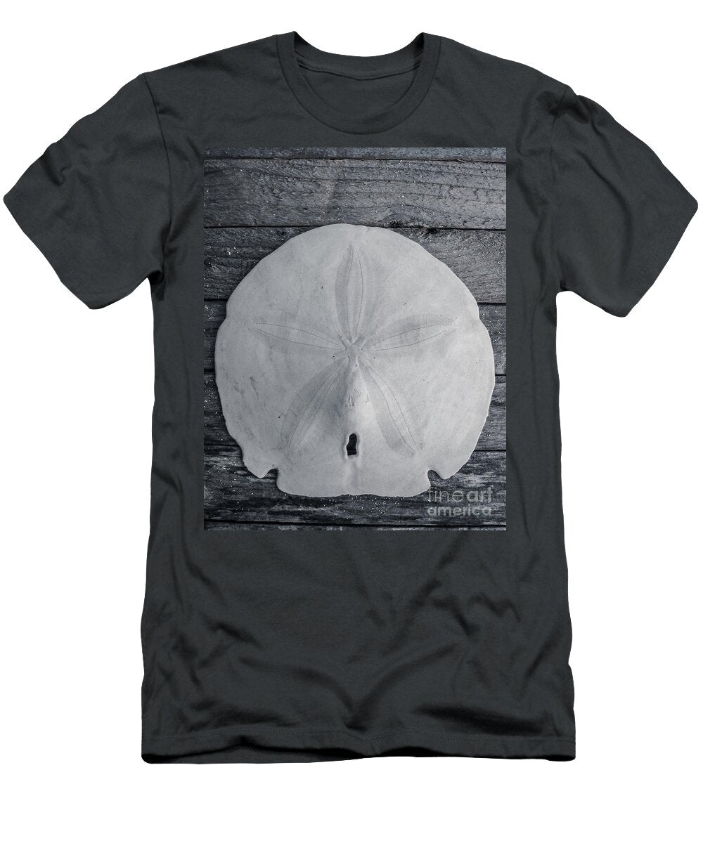 Sand Dollar on Drift Wood Colleen Kammerer T-Shirt
