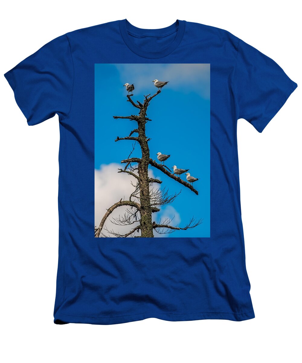 Sea Gulls Hangin Out Paul Freidlund T-Shirt