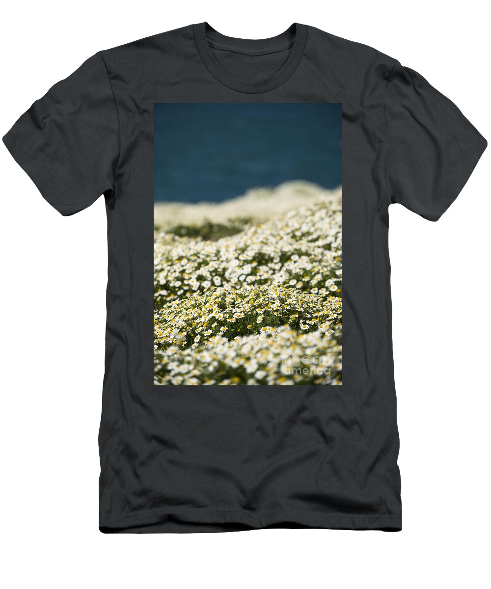 Skokholm Sea Mayweed Anne Gilbert T-Shirt