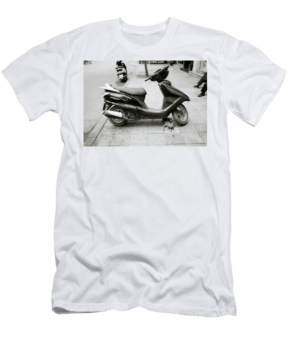 Sleeping Chihuahua Shaun Higson T-Shirt