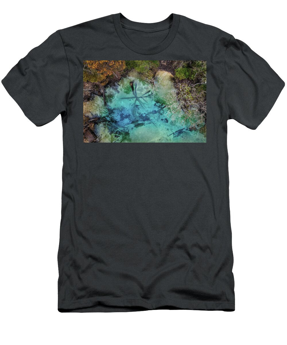 Spirit of the Spring Alex Mironyuk T-Shirt