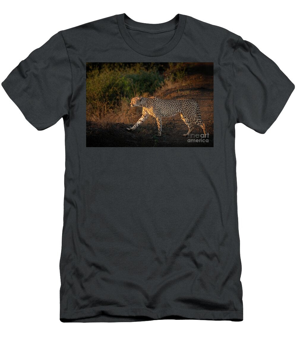 Sunrise Walk Jamie Pham T-Shirt