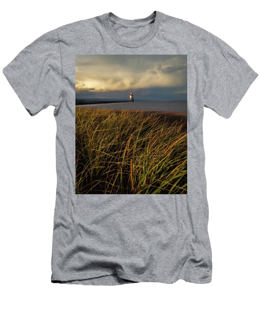 Superior Dream Andy and Tamara Photo T-Shirt