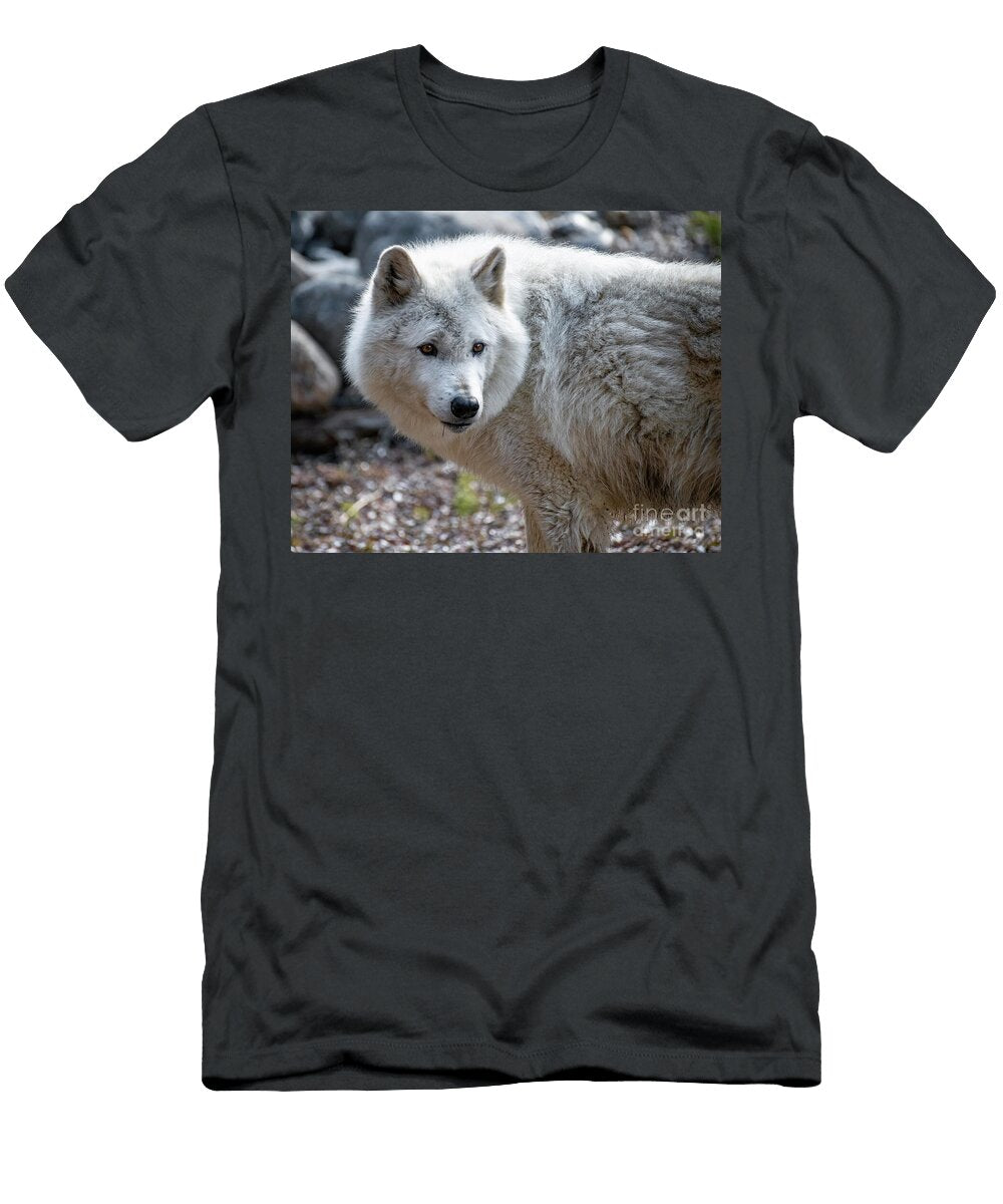 The Look of the Wolf Jim Chamberlain T-Shirt