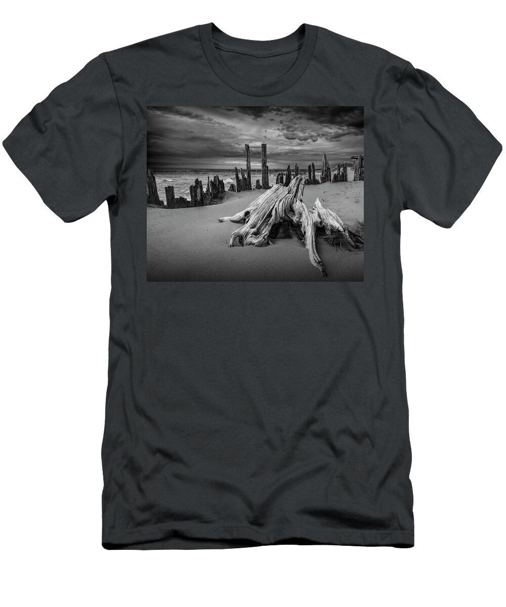 Tree Stump and Pilings on the Beach in Black and White Randall Nyhof T-Shirt