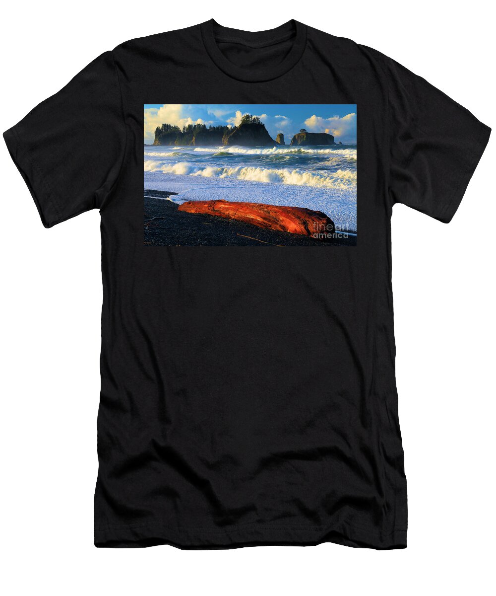 Washed Up At Rialto Adam Jewell T-Shirt