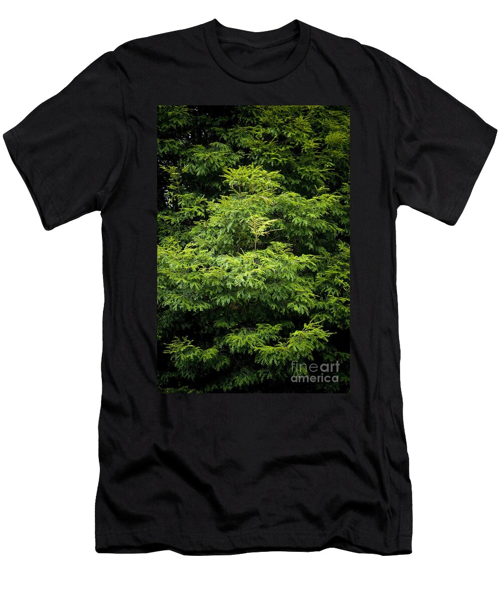 Wilderness Tim Hester T-Shirt