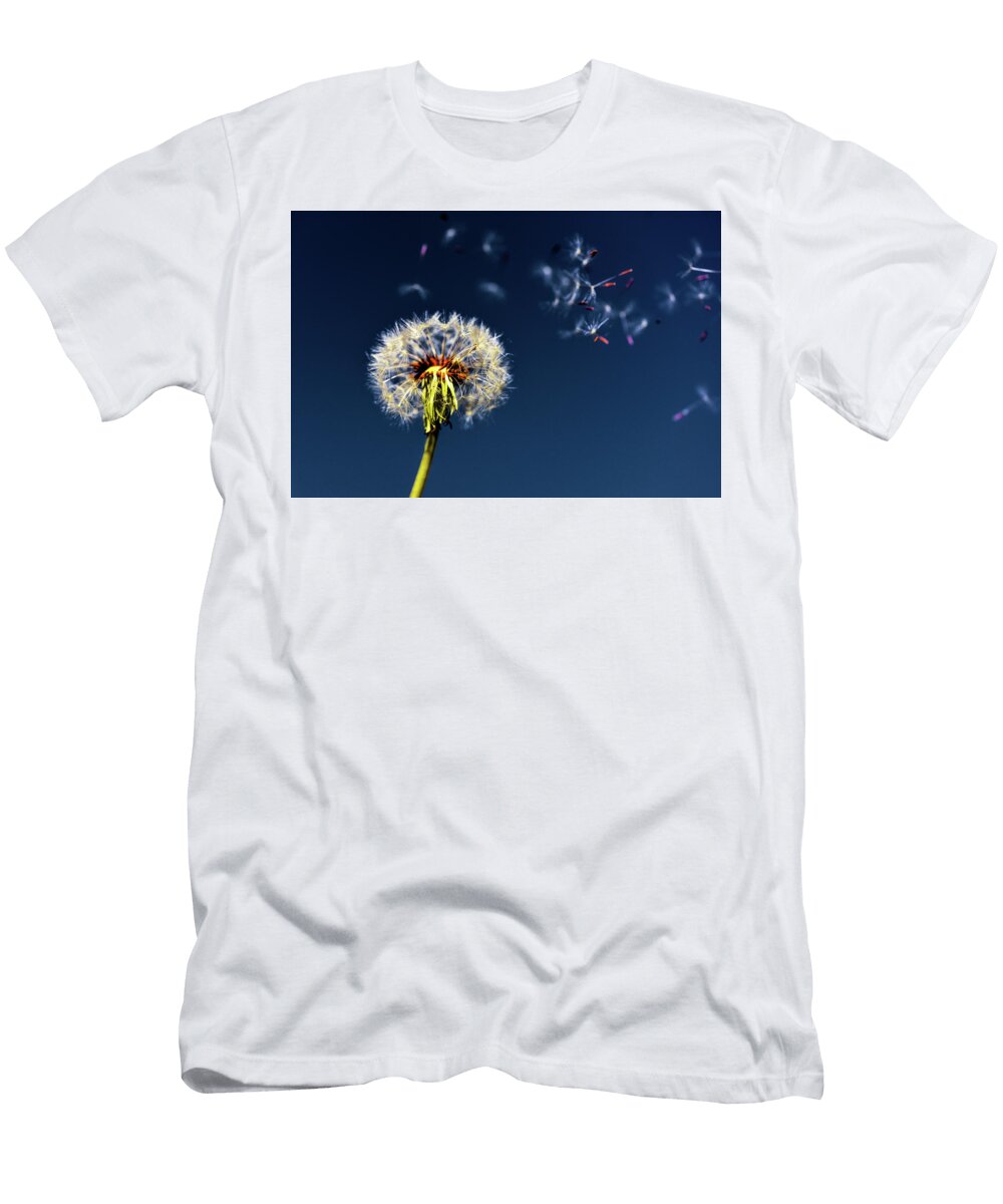 Wish Come True Scott Campbell T-Shirt